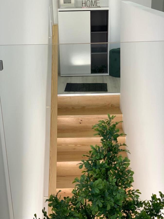Perola De Gil Vicente Duplex Daire Setúbal Dış mekan fotoğraf